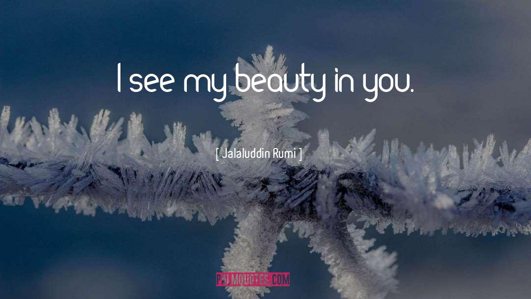 Jalaluddin Rumi Quotes: I see my beauty in