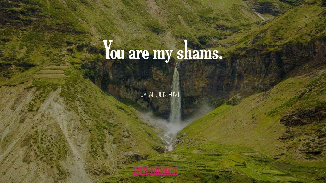 Jalaluddin Rumi Quotes: You are my shams.