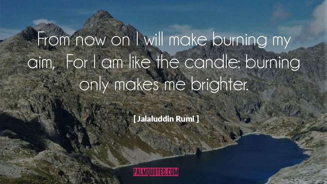 Jalaluddin Rumi Quotes: From now on I will