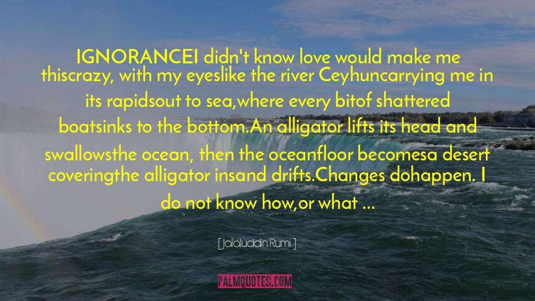 Jalaluddin Rumi Quotes: IGNORANCE<br /><br />I didn't know