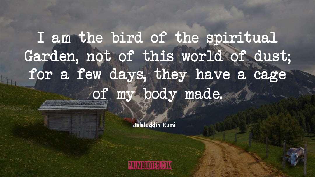 Jalaluddin Rumi Quotes: I am the bird of