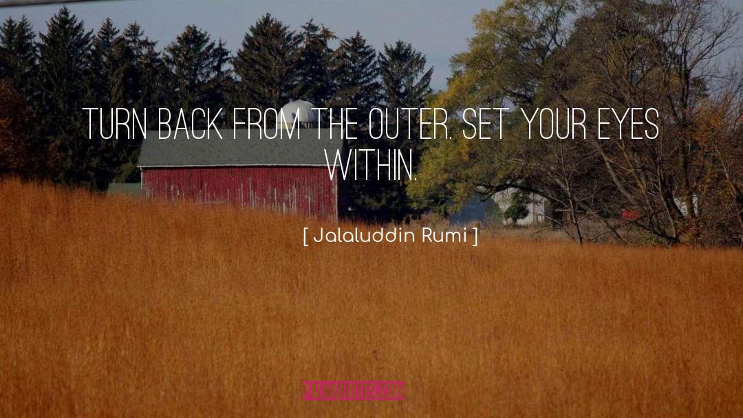 Jalaluddin Rumi Quotes: Turn back from the outer.
