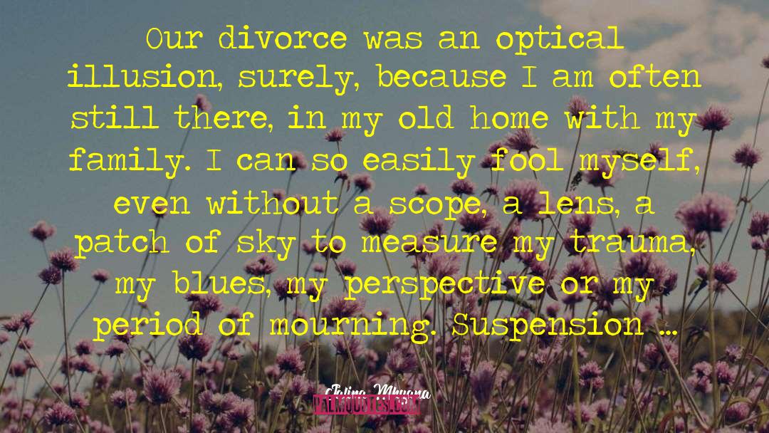 Jalina Mhyana Quotes: Our divorce was an optical