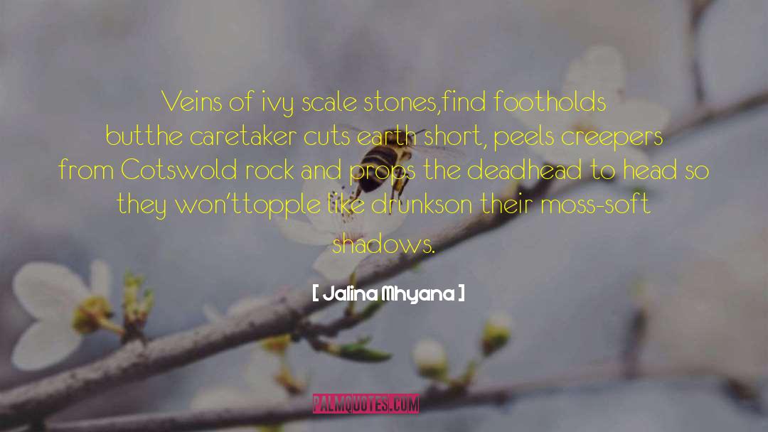 Jalina Mhyana Quotes: Veins of ivy scale stones,<br