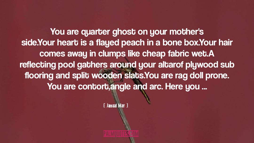 Jamaal May Quotes: You are quarter ghost on