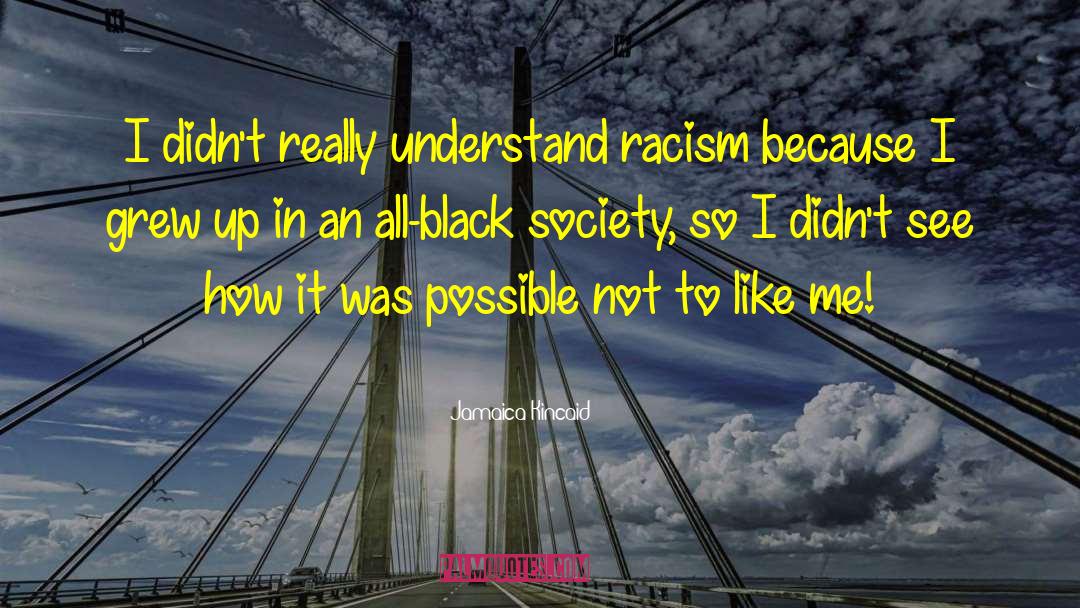 Jamaica Kincaid Quotes: I didn't really understand racism