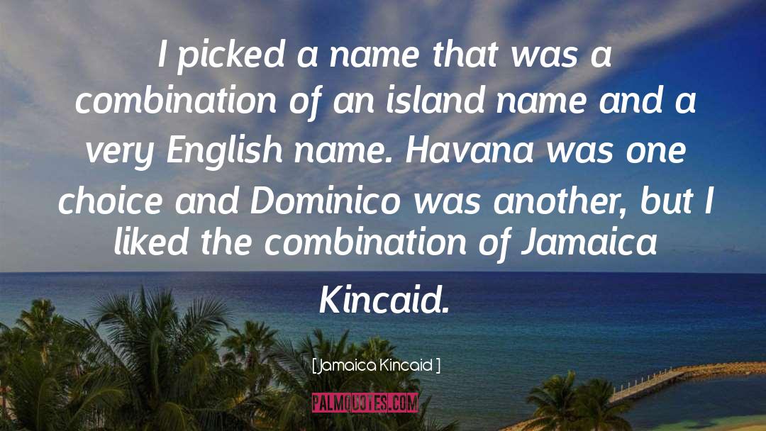 Jamaica Kincaid Quotes: I picked a name that