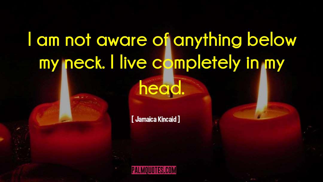 Jamaica Kincaid Quotes: I am not aware of