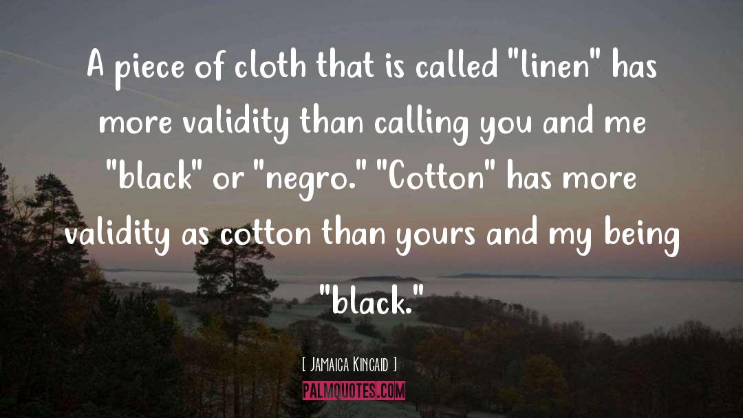 Jamaica Kincaid Quotes: A piece of cloth that