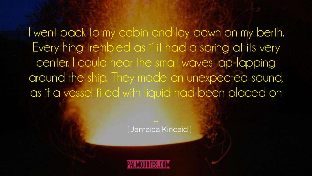 Jamaica Kincaid Quotes: I went back to my