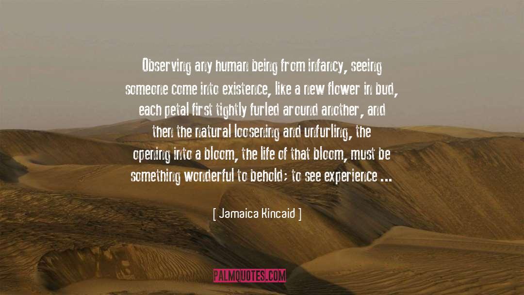 Jamaica Kincaid Quotes: Observing any human being from