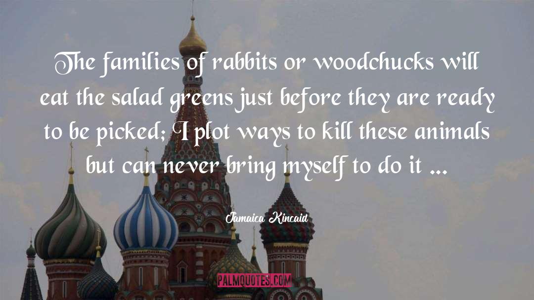 Jamaica Kincaid Quotes: The families of rabbits or