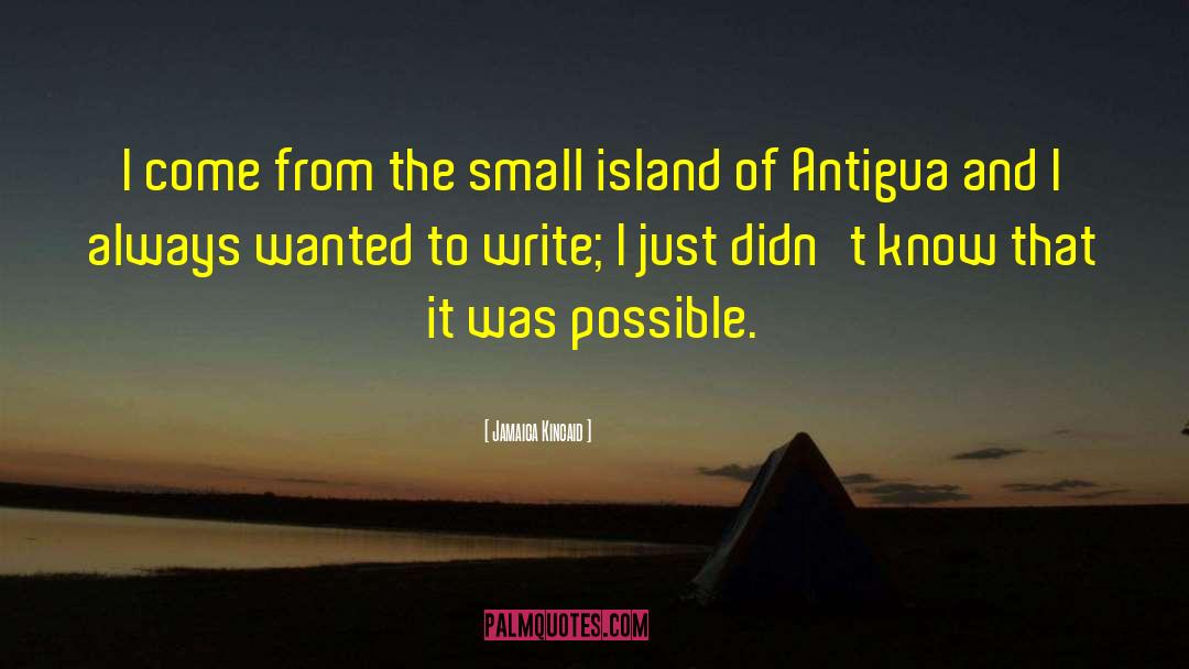 Jamaica Kincaid Quotes: I come from the small