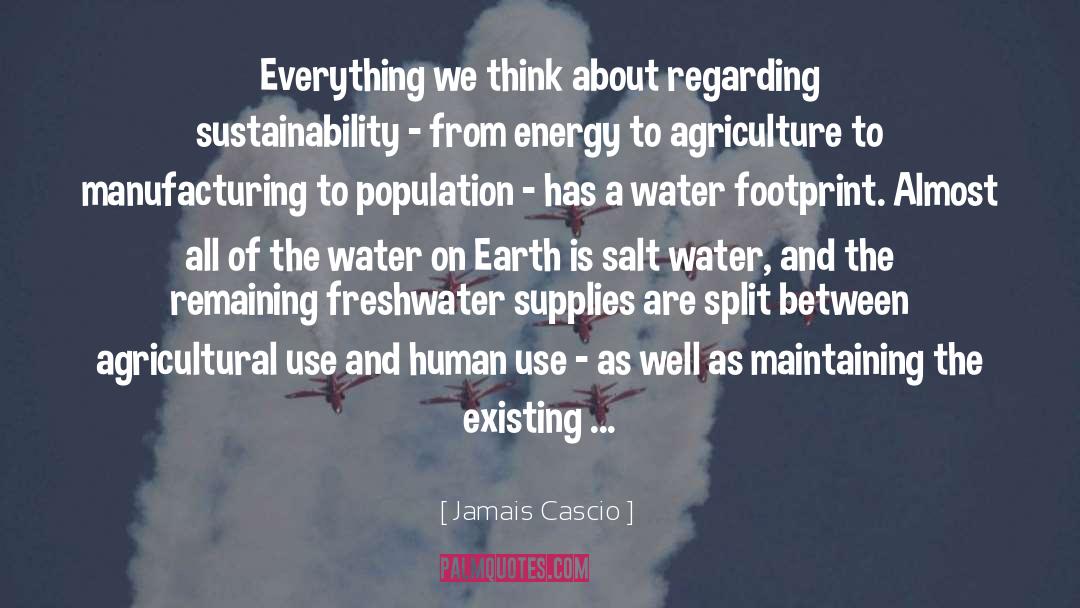 Jamais Cascio Quotes: Everything we think about regarding