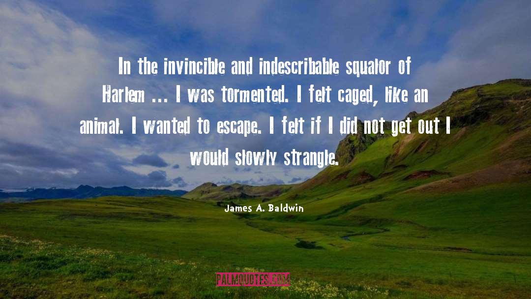 James A. Baldwin Quotes: In the invincible and indescribable