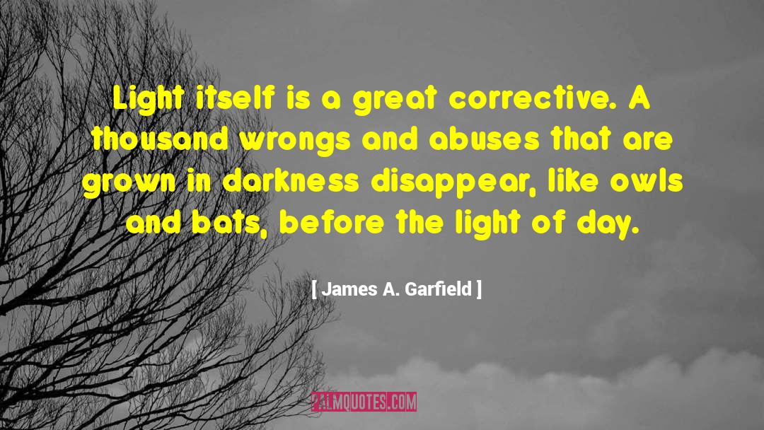 James A. Garfield Quotes: Light itself is a great