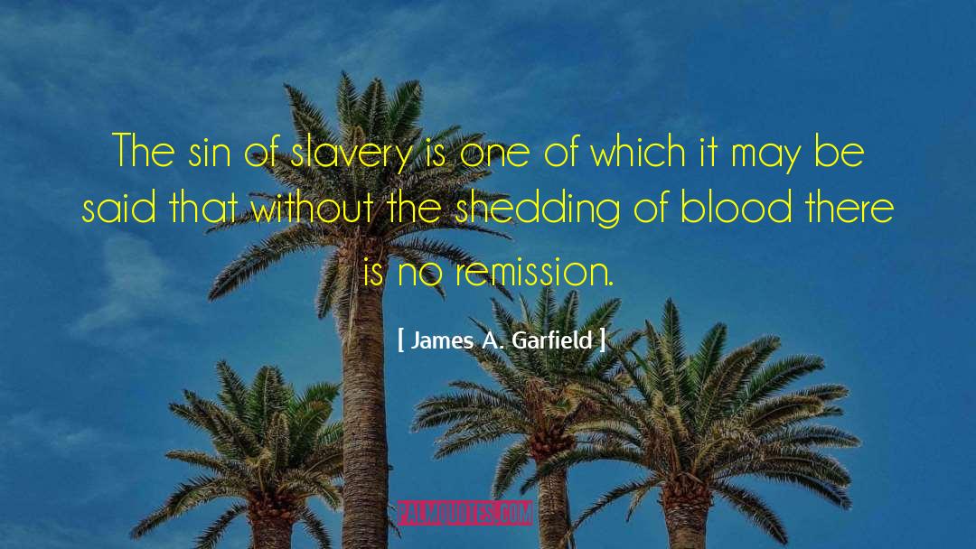 James A. Garfield Quotes: The sin of slavery is