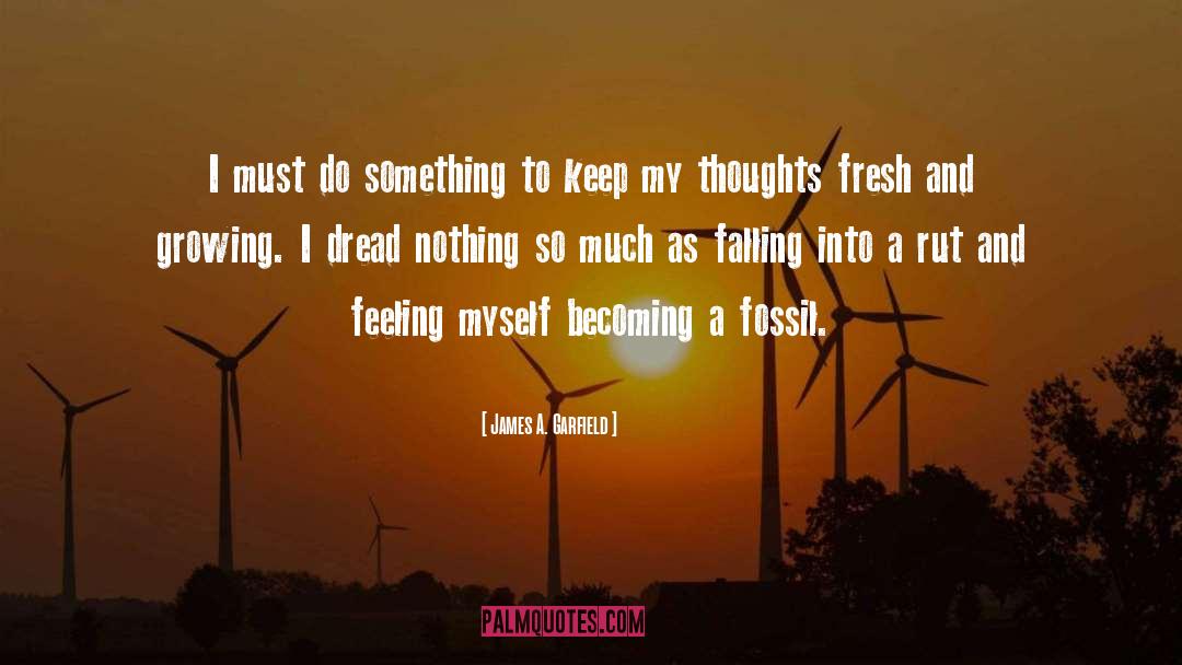 James A. Garfield Quotes: I must do something to