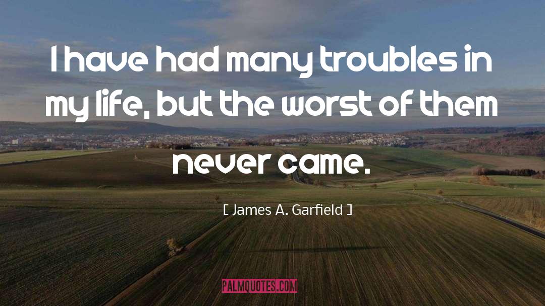 James A. Garfield Quotes: I have had many troubles