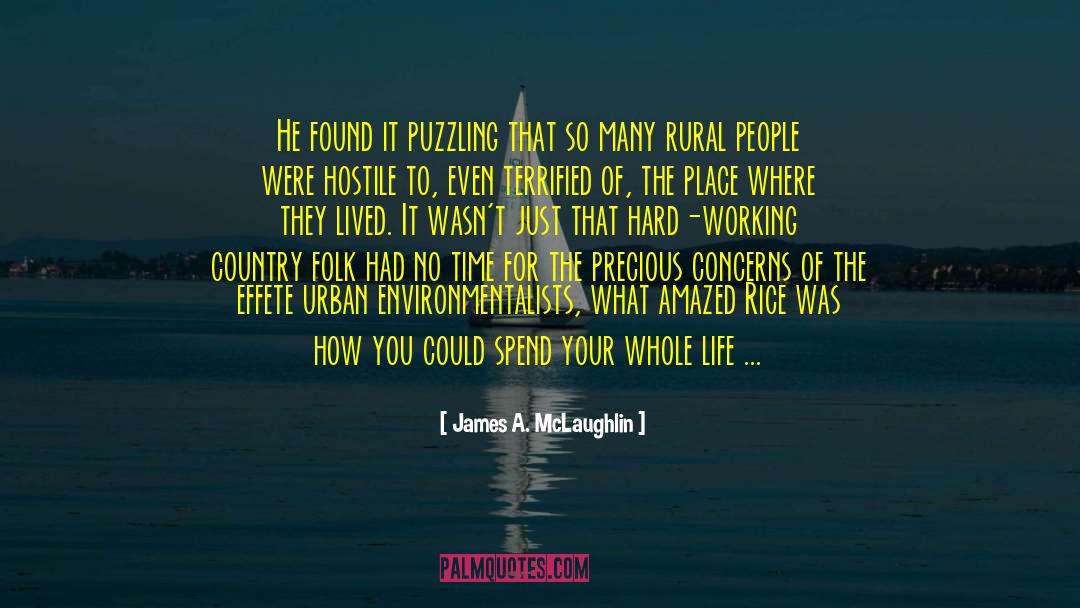James A. McLaughlin Quotes: He found it puzzling that