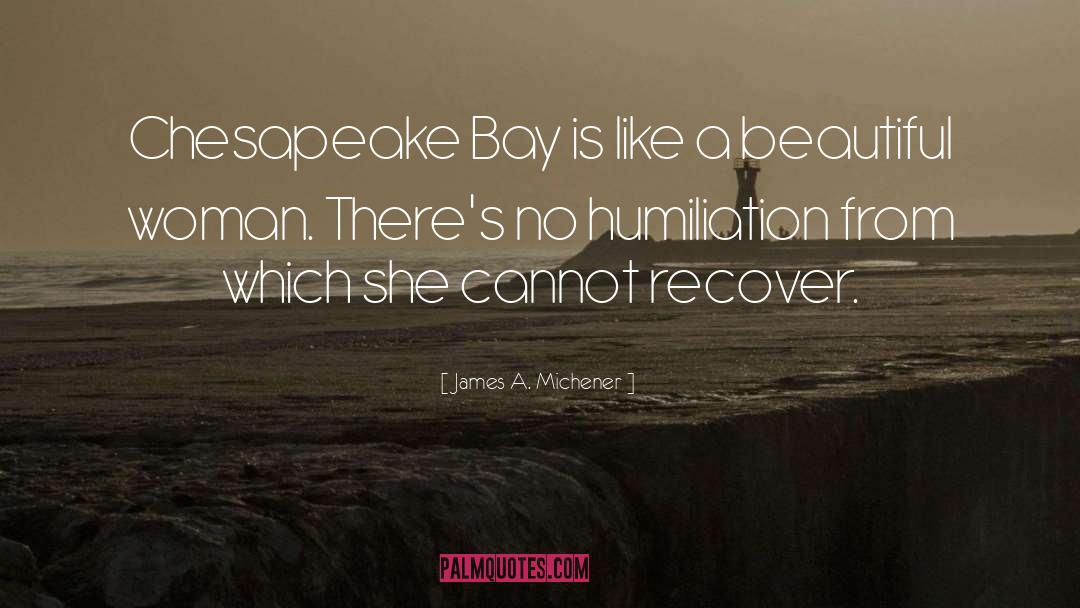 James A. Michener Quotes: Chesapeake Bay is like a