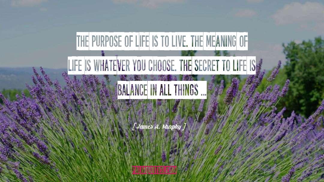 James A. Murphy Quotes: The purpose of life is