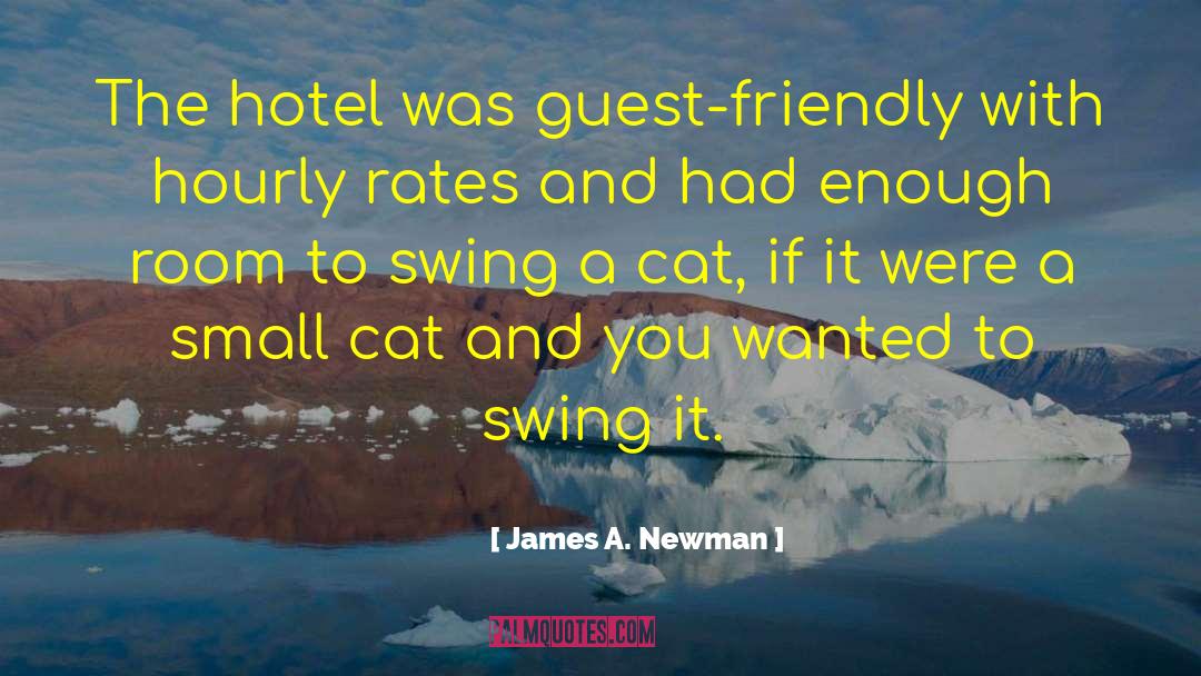 James A. Newman Quotes: The hotel was guest-friendly with