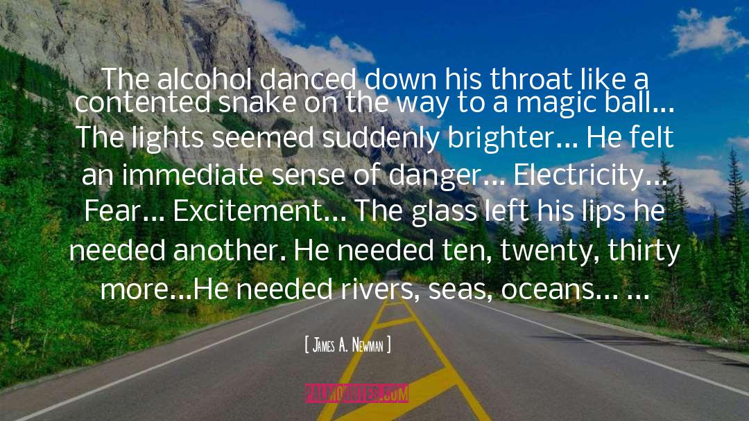 James A. Newman Quotes: The alcohol danced down his