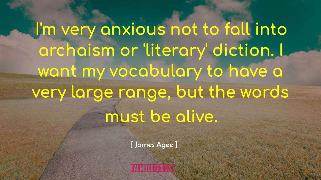 James Agee Quotes: I'm very anxious not to