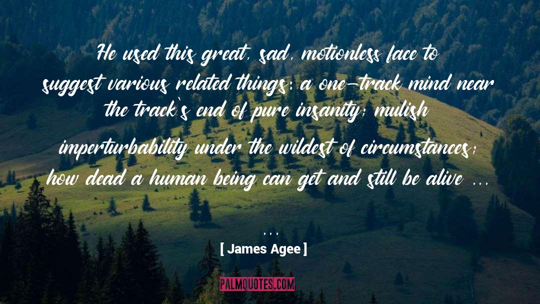 James Agee Quotes: He used this great, sad,