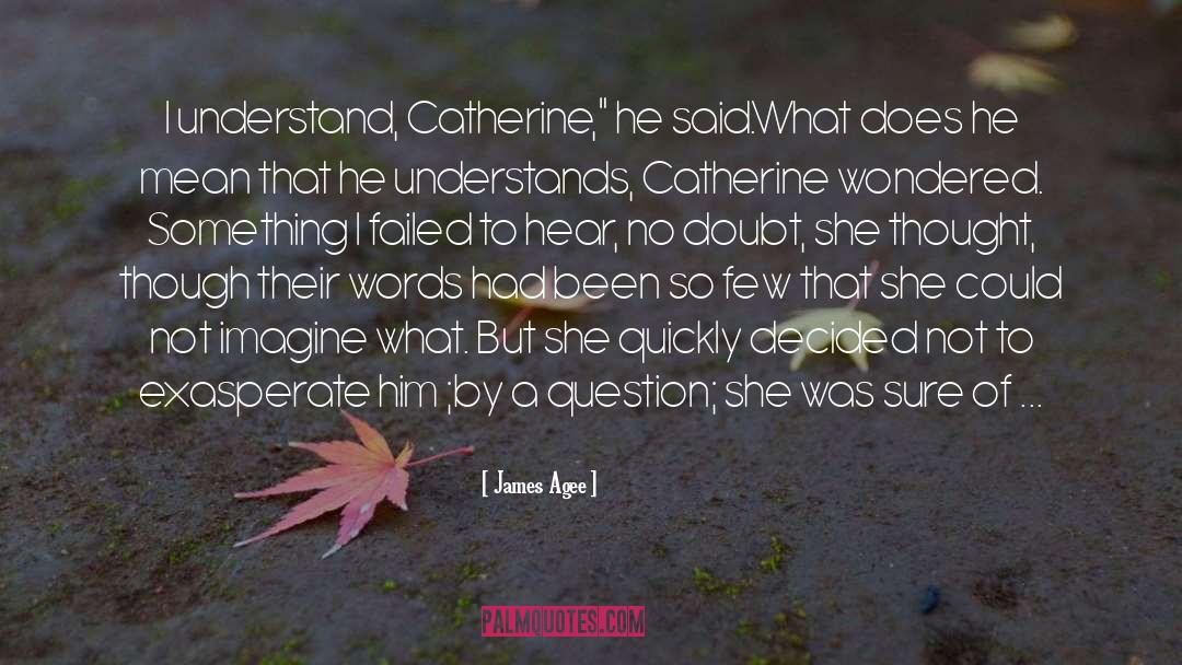 James Agee Quotes: I understand, Catherine,