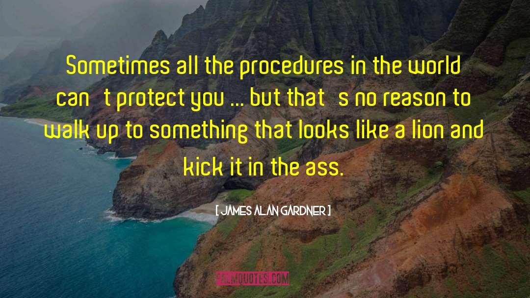 James Alan Gardner Quotes: Sometimes all the procedures in