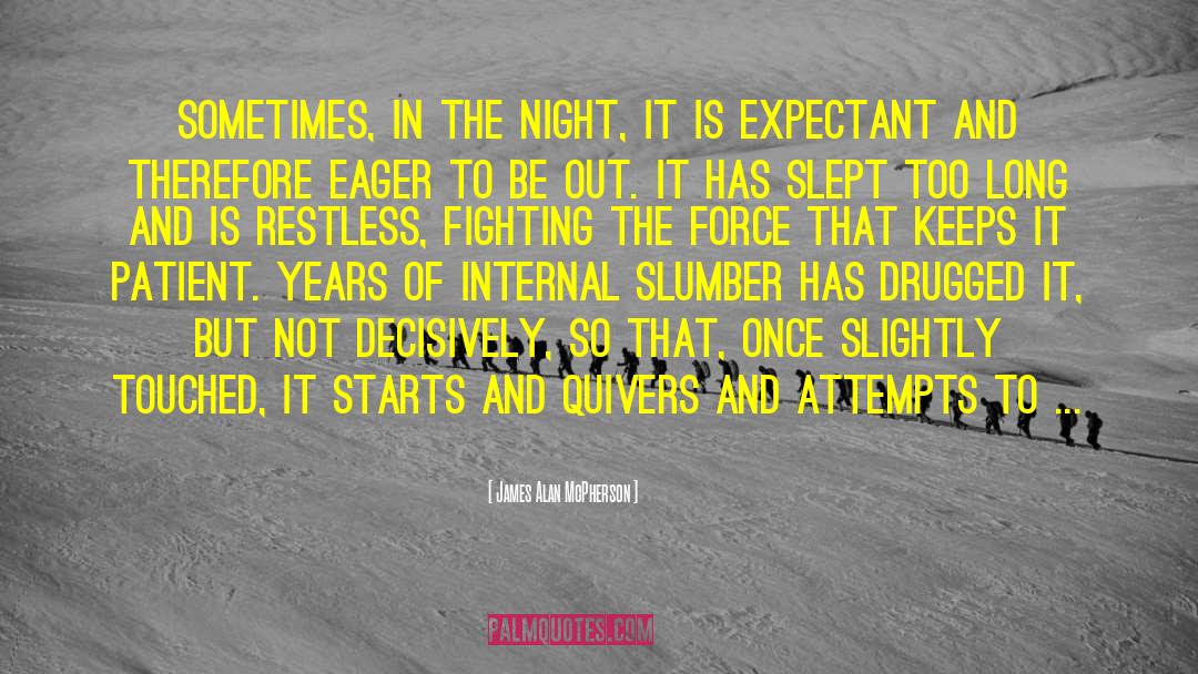 James Alan McPherson Quotes: Sometimes, in the night, it