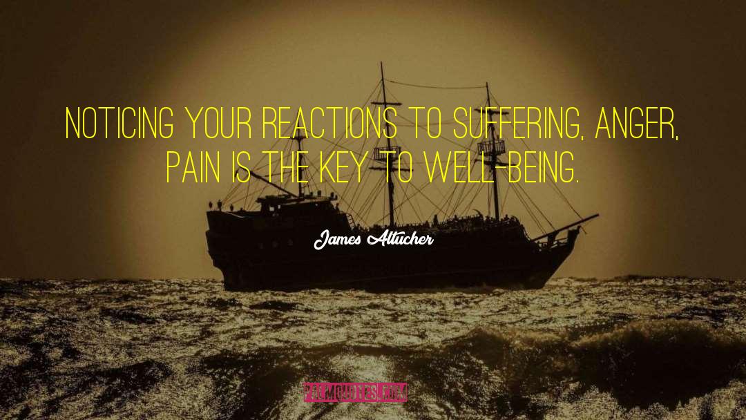 James Altucher Quotes: Noticing your reactions to suffering,