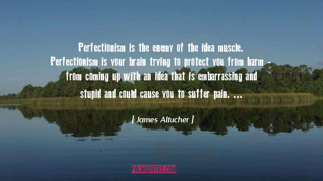 James Altucher Quotes: Perfectionism is the enemy of
