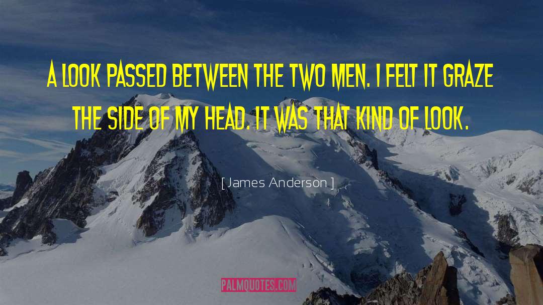 James Anderson Quotes: A look passed between the
