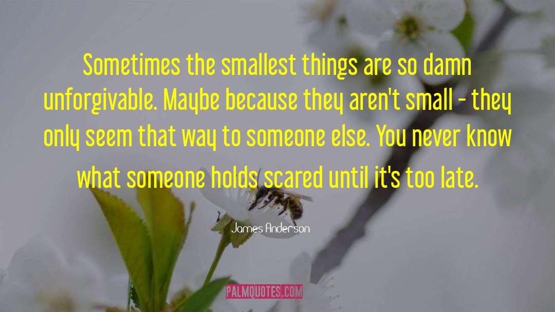 James Anderson Quotes: Sometimes the smallest things are