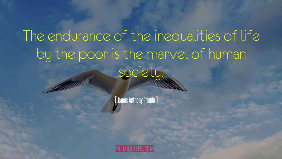 James Anthony Froude Quotes: The endurance of the inequalities