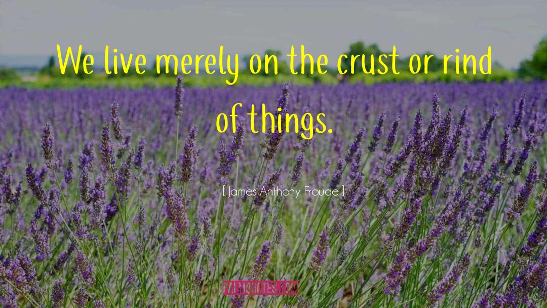 James Anthony Froude Quotes: We live merely on the