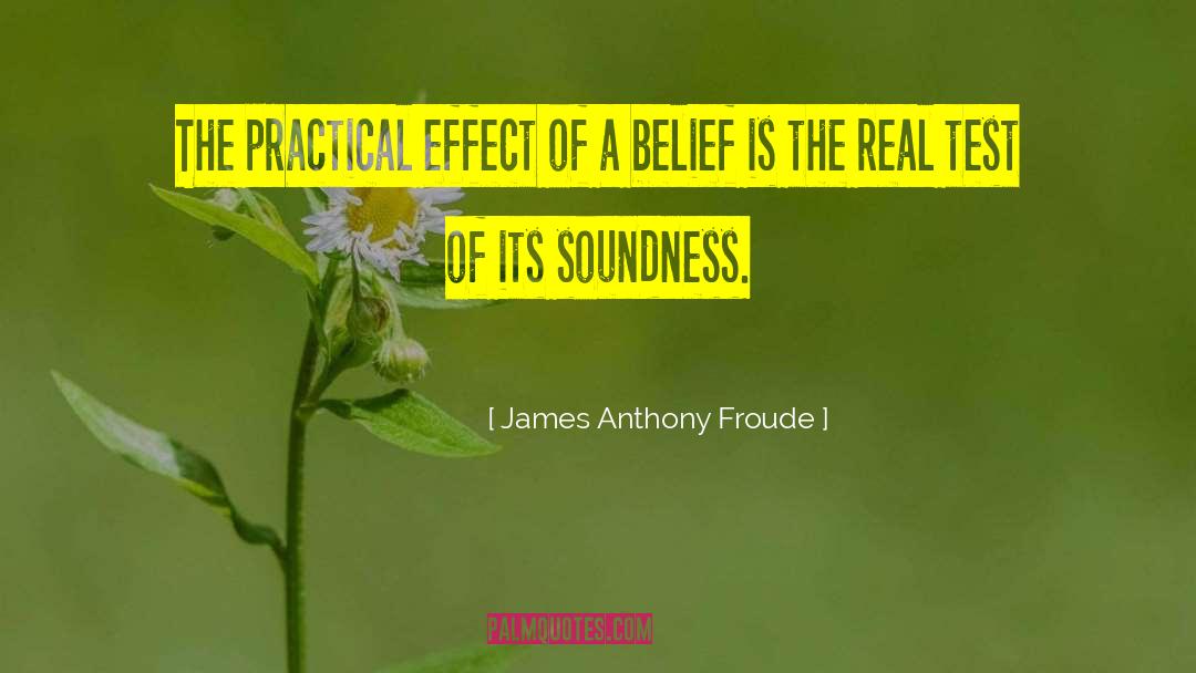 James Anthony Froude Quotes: The practical effect of a