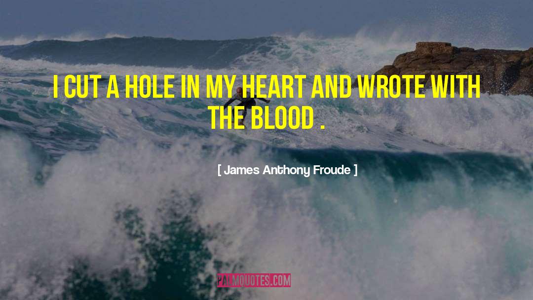 James Anthony Froude Quotes: I cut a hole in