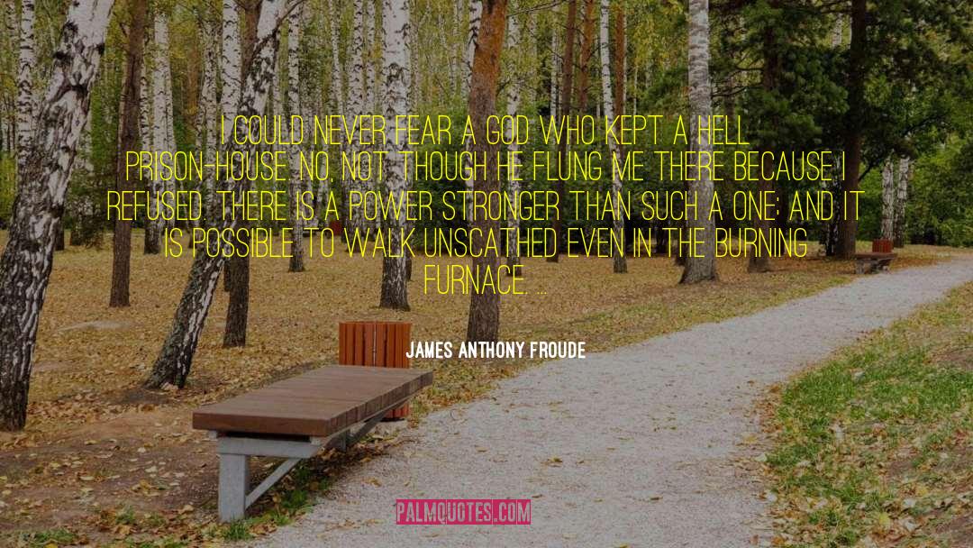 James Anthony Froude Quotes: I could never fear a