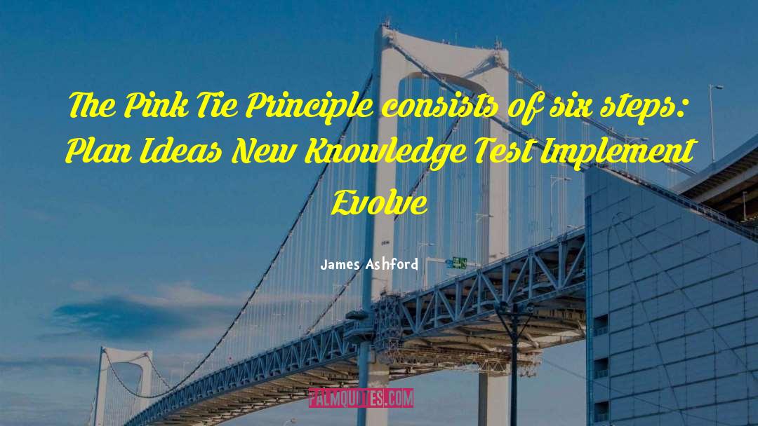 James Ashford Quotes: The Pink Tie Principle consists