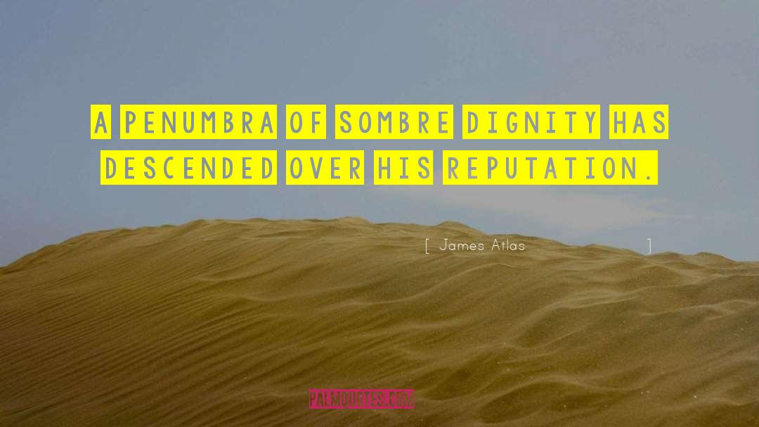 James Atlas Quotes: A penumbra of sombre dignity