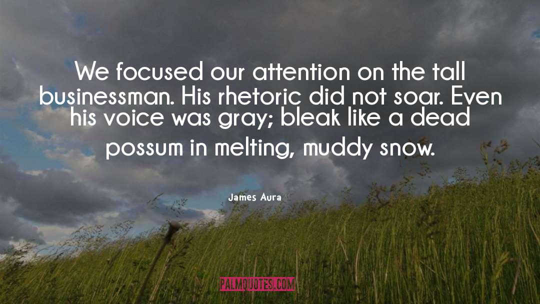 James Aura Quotes: We focused our attention on