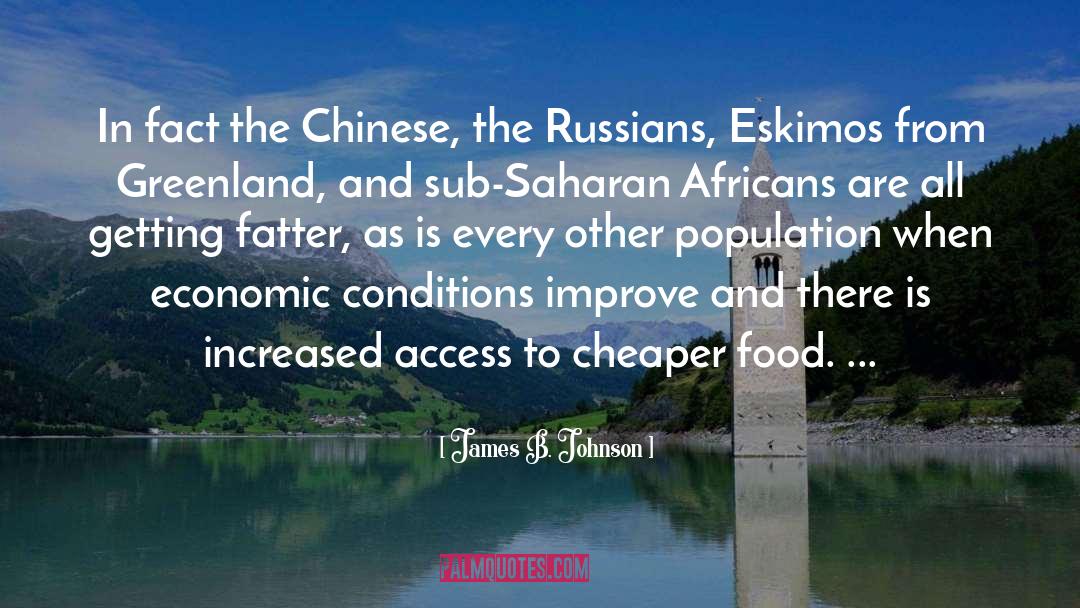 James B. Johnson Quotes: In fact the Chinese, the