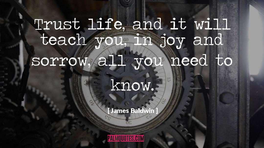 James Baldwin Quotes: Trust life, and it will