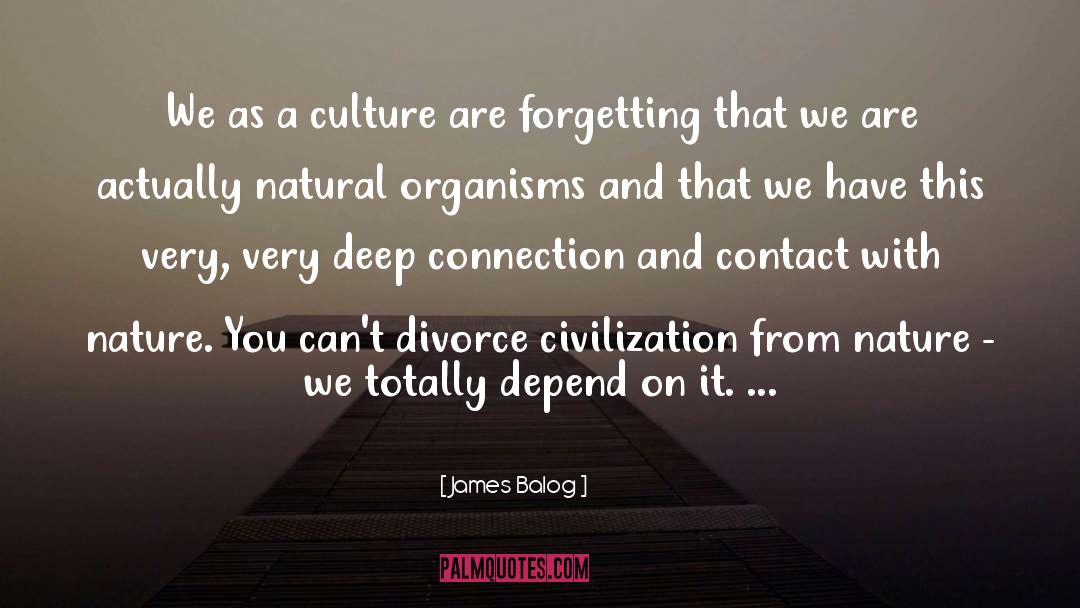 James Balog Quotes: We as a culture are