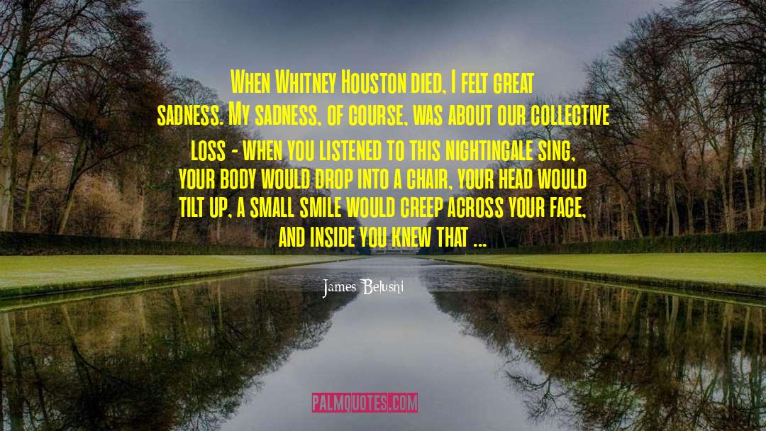 James Belushi Quotes: When Whitney Houston died, I