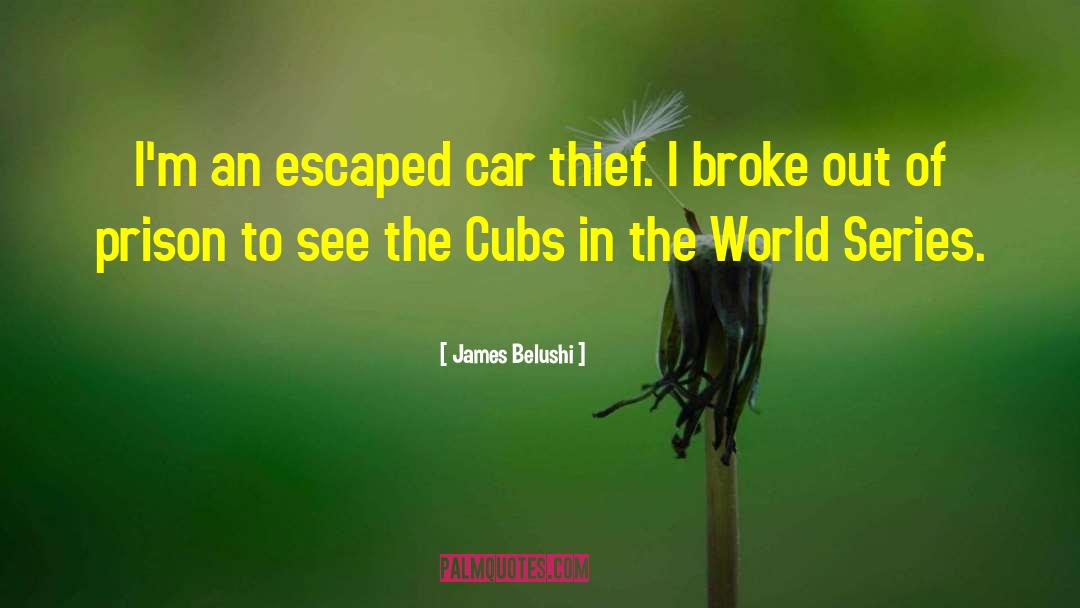 James Belushi Quotes: I'm an escaped car thief.